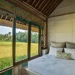 Bennu House
