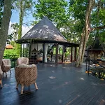 Green Tree House