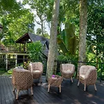 Green Tree House