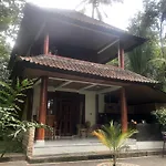Nice House, Quiet Place Overlooking Rice Fields