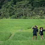 D\'Alas Villa Ubud By Omkara Experience