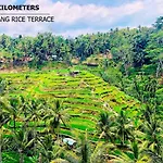 Green Flow Villa 8 Ubud
