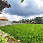 Villa Padi Menari