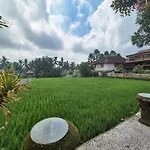 Villa Padi Menari