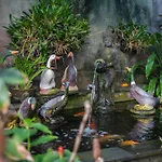 Taluh Bebek Ubud Private Villas