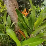 Villa Paya - Ubud