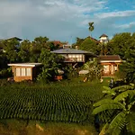 Gruen Ubud