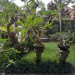 Soka Homestay