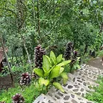 *New* Jungle Joglo Villa With Waterfall View