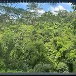 *New* Jungle Joglo Villa With Waterfall View
