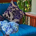 The Pause Inn - Soca 1