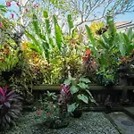 Puri Bayu