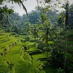 Villa Oia Ubud