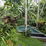 Treehouse With Private Pool Near Yogabarn - In Ubud Center