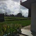 Mitra Village Villa