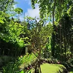 Sacred River & Jungle Villa