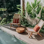The Dream Villa
