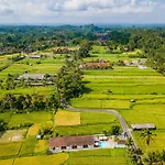 Aura Apartments Ubud