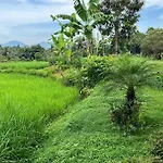 Maple Ridge Ubud Villas