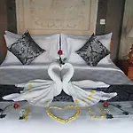 Ariana Suite