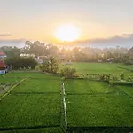 Villa Michyi
