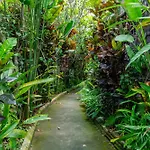 Kausala Bisma Ubud