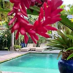 Ubud Alchemist House 烏布煉金師之屋