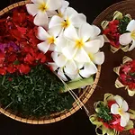 Royal Jj Ubud Resort & Spa