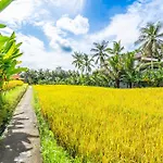 Rice Field Villa Ubud