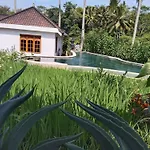 The Puriana Mantun Villa