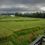 Ananditha Villa Ubud Ricefield Views