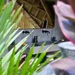 Bamboo Oasis - Casa Koko, Konubi