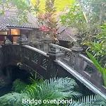 Guci Guesthouses
