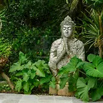 New Luxury Villa In Ubud -3Bdr, Expansive Pool - Stunning Design