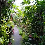 Sari Natah Guest House
