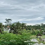 Umah Made Bali Home & Art Space