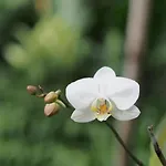 2Br Jungle House In The Edge Of Ubud