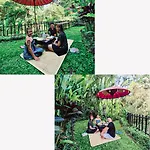 The Jungle Villa Family
