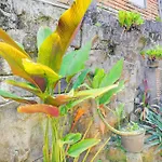 Hotel O Ubud Asri Homestay Near Monkey Forest