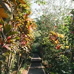 Bismajaya Bungalow