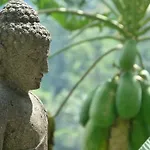 Green Spirit Villa