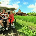 Ubud Heaven Penestanan