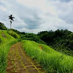 Yudi House