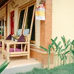 Rice Padi Artha