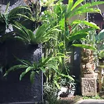 Blima Bali