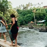 The Solo Female Traveler Guesthouse