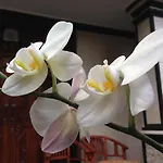 Jempiring Homestay