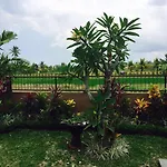 Villa Bali Green