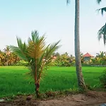 Restu House