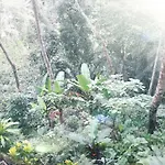 Ubud River Side House